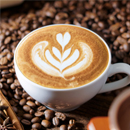 Rigatoni artigianali con pomodoro fresco e pecorino